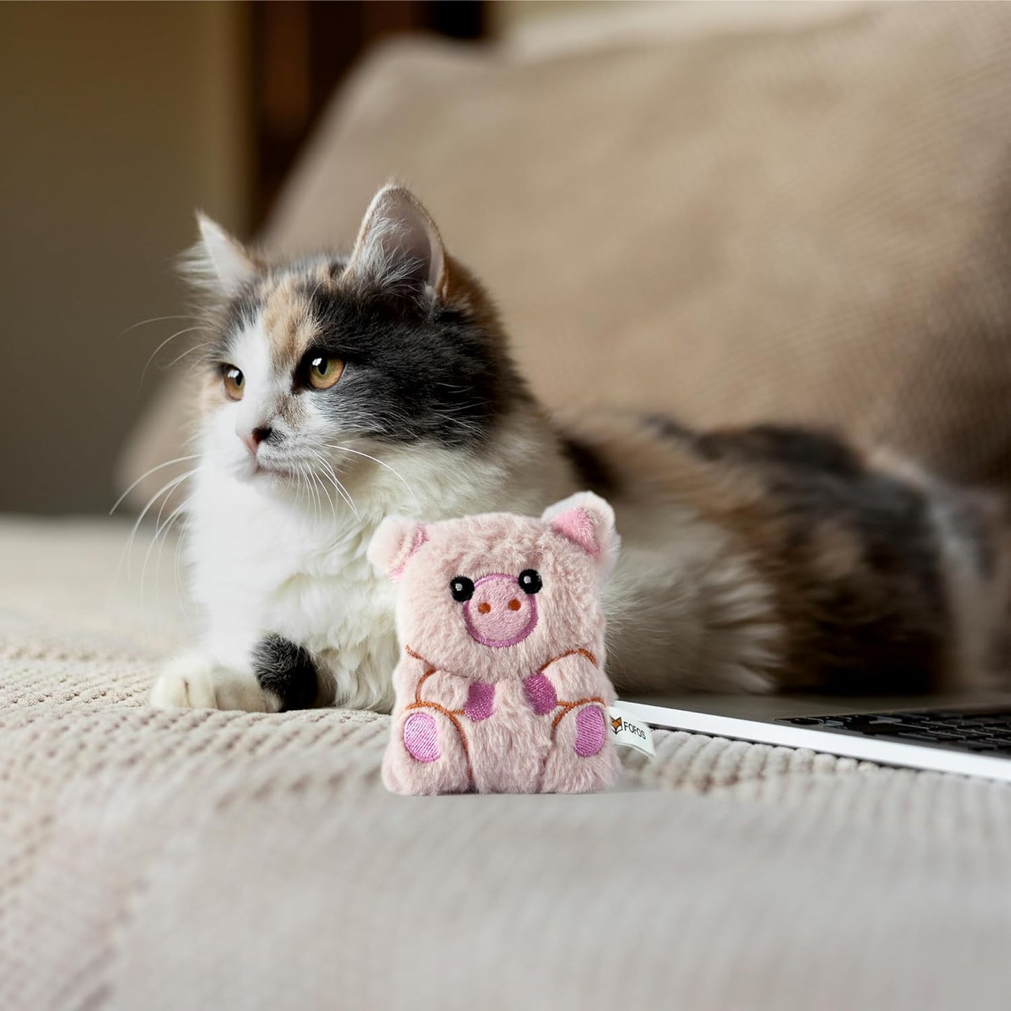 Porco de Peluche com catnip - FOFOS