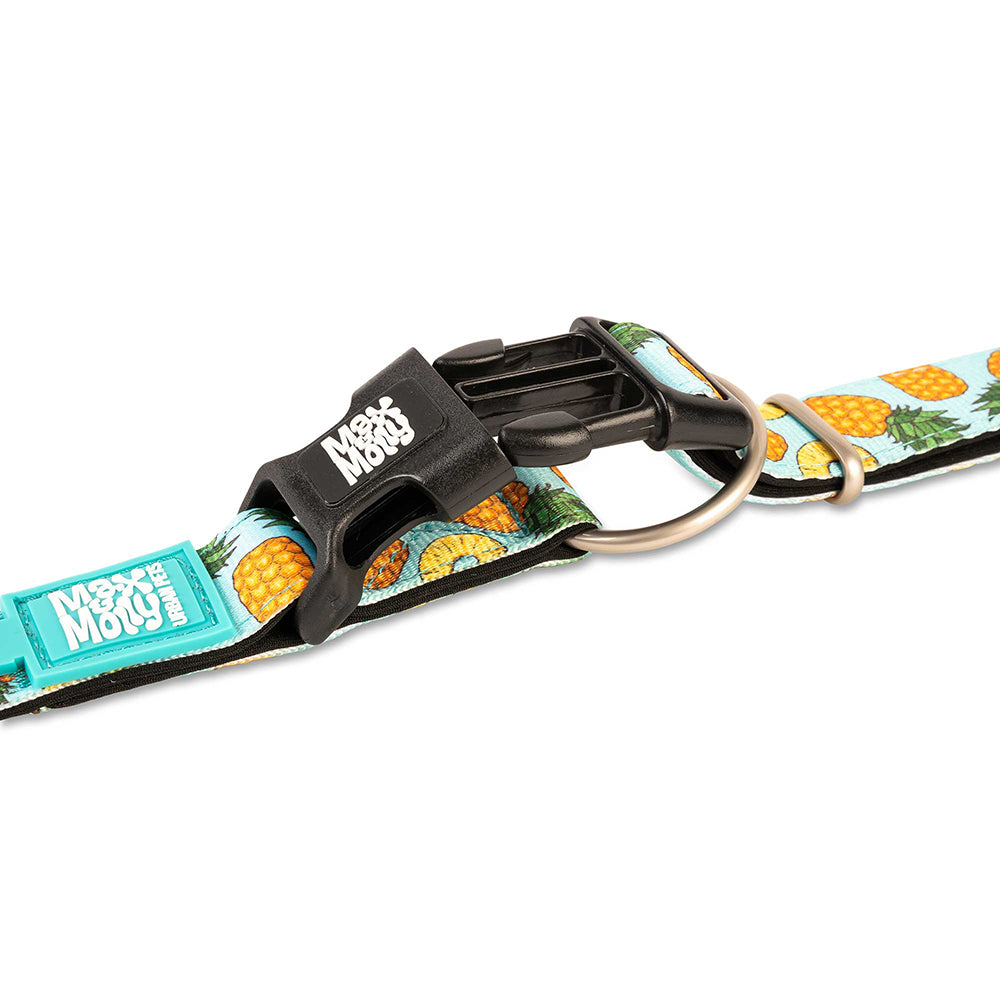 Coleira com ID Tag Max&Molly - Sweet Pineapple