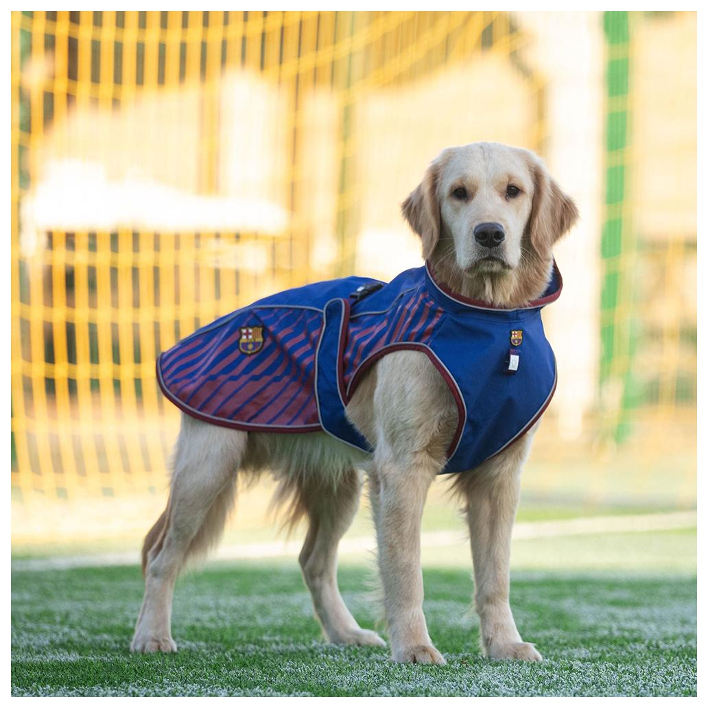 Casaco Impermeável FC Barcelona - Max&Molly