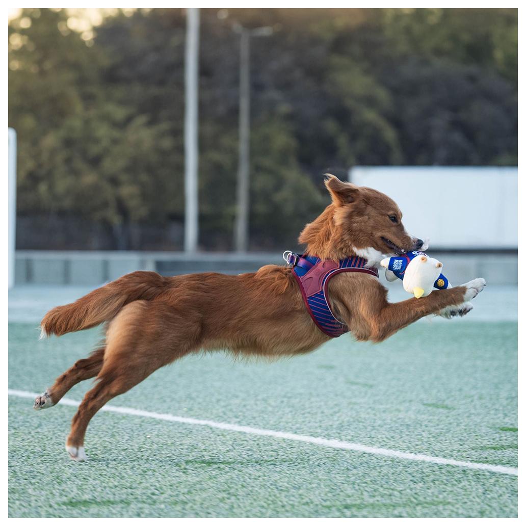 Max&Molly - Rinoceronte FC Barcelona