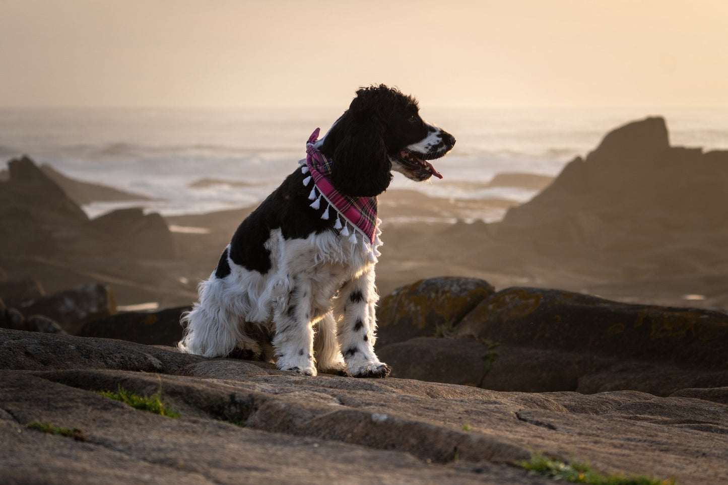Pajé Bandana Xadrez Rosa