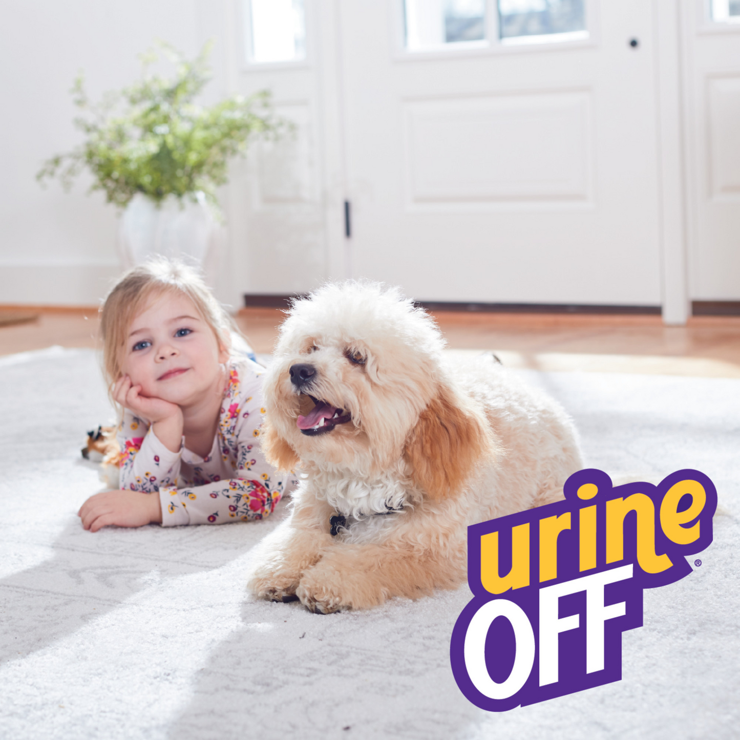 UrineOff Cães - Removedor de manchas e odores de urina