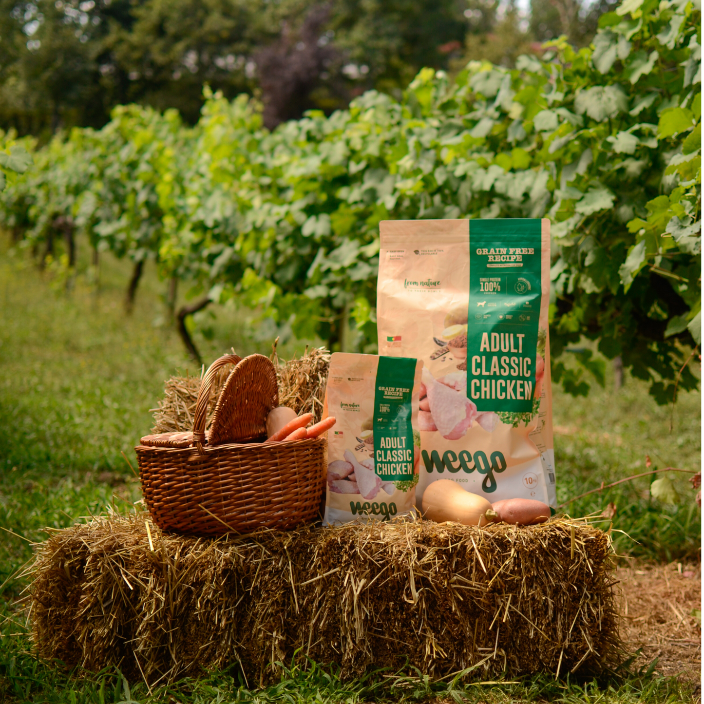 Weego Grain Free Cão - Frango