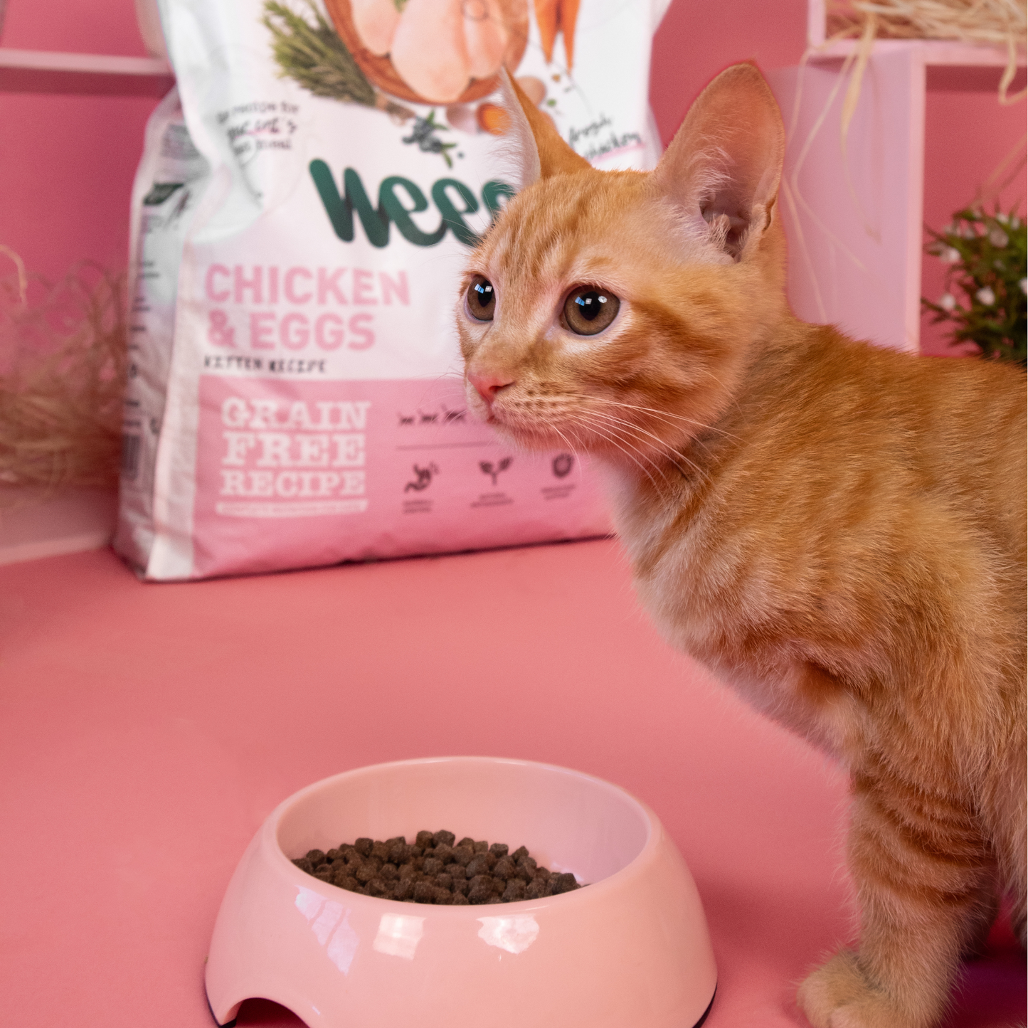 Weego Kitten - Frango e Ovos 7kg