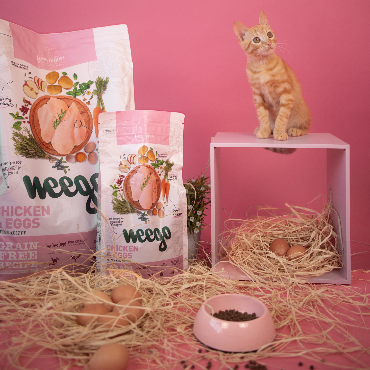 Weego Kitten - Frango e Ovos 7kg