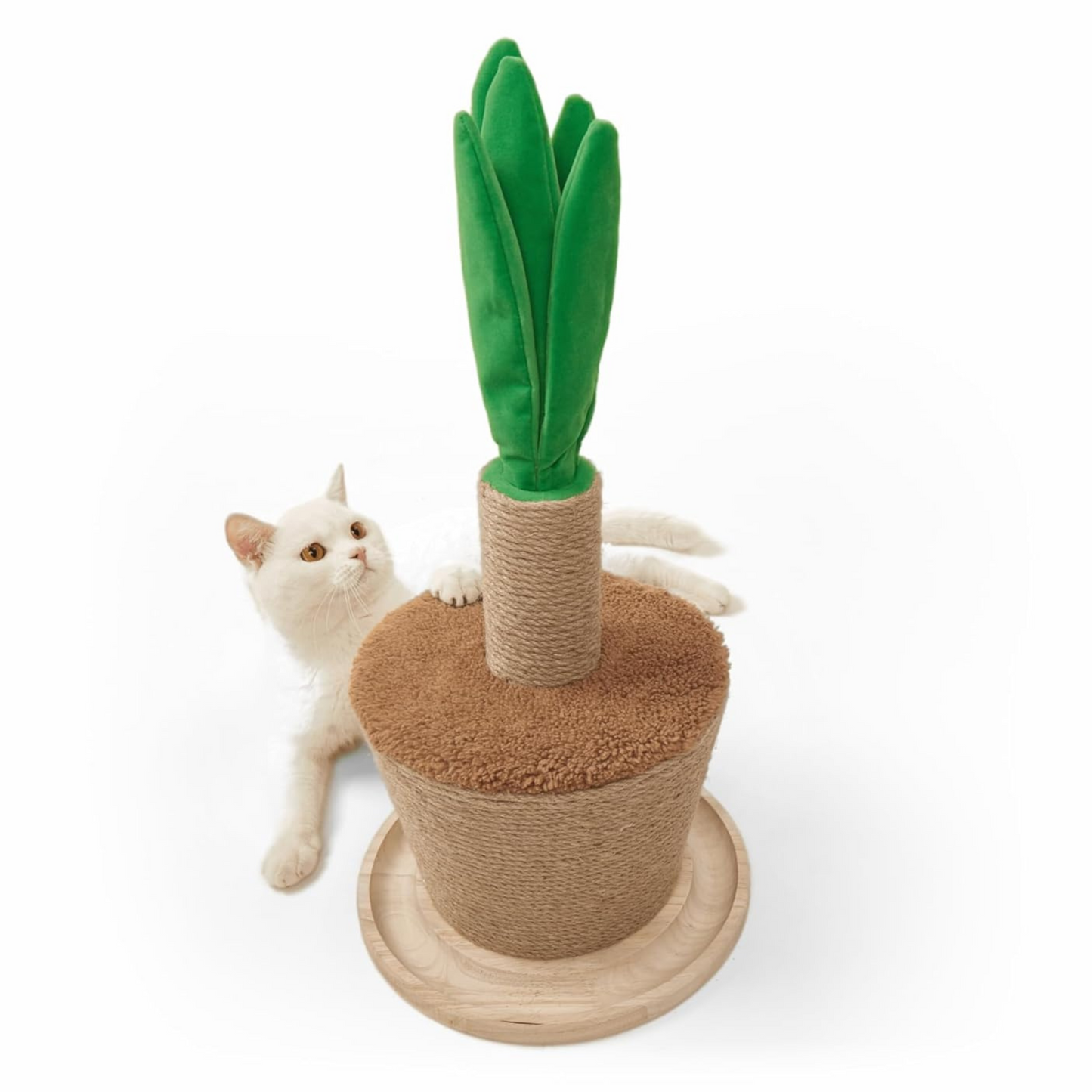 Arranhador Planta em Vaso - FOFOS