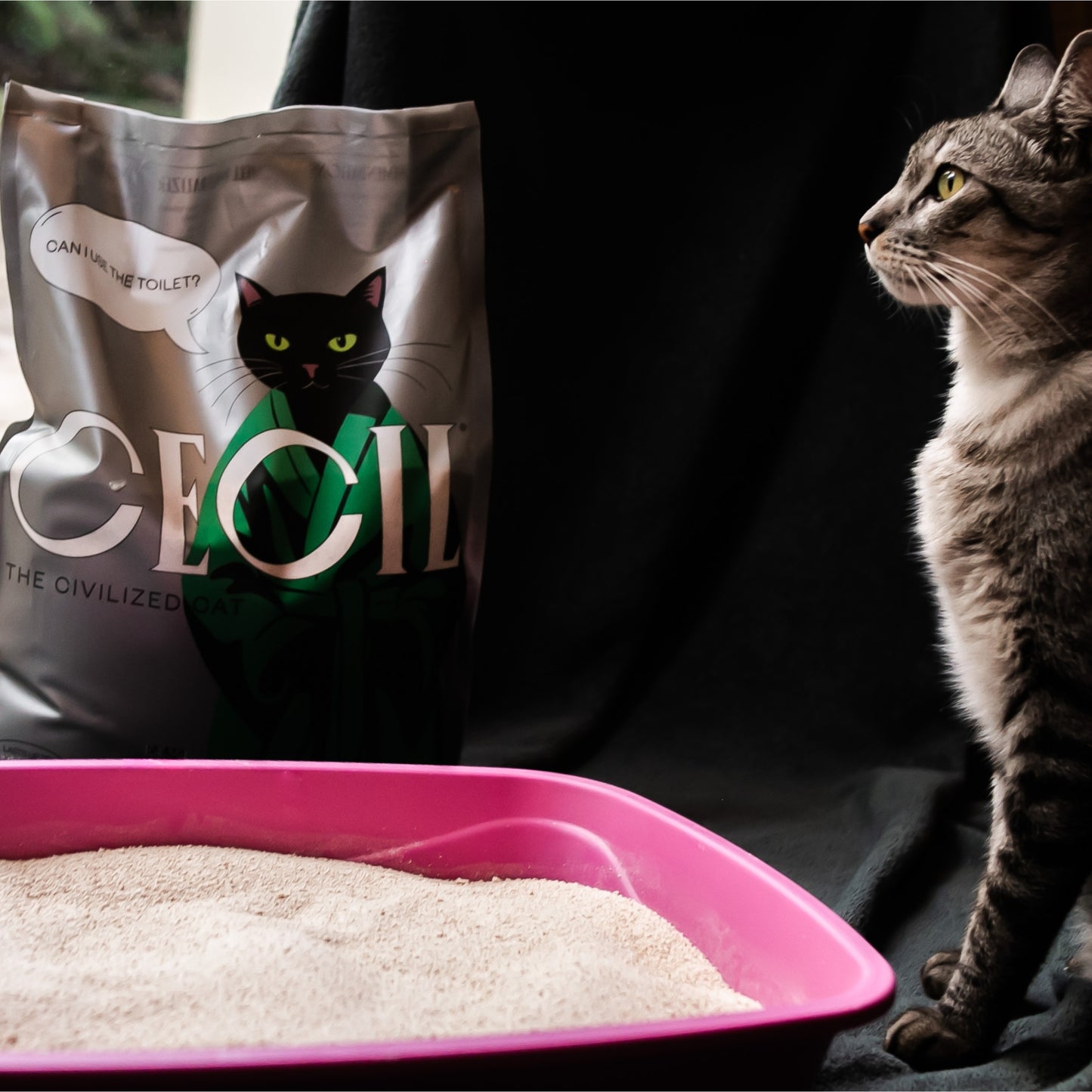 Areia natural de Mandioca para gatos - Cecil