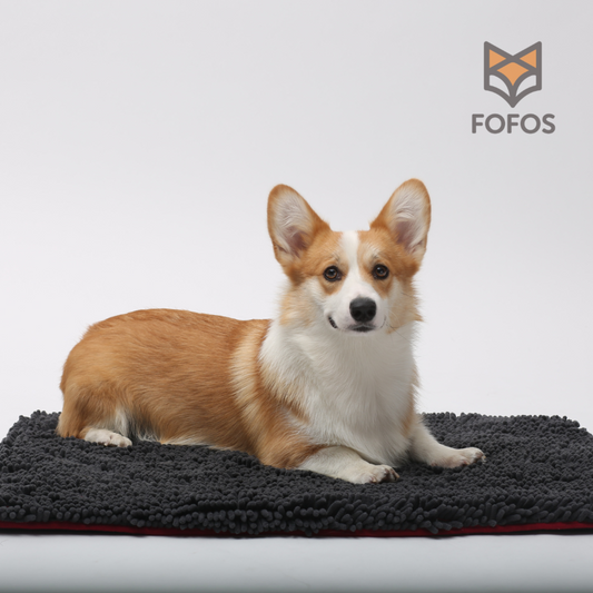 Cama/Tapete espuma viscoelástica FOFOS