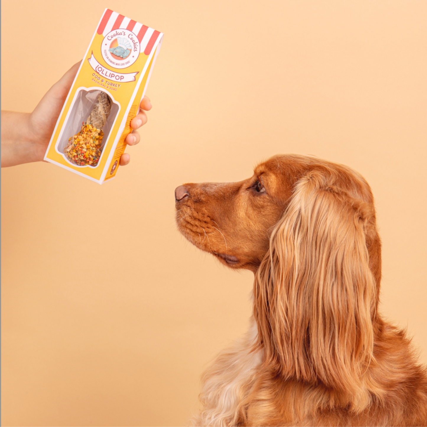 Cooka's Cookies - Lollipop de bacalhau e peru