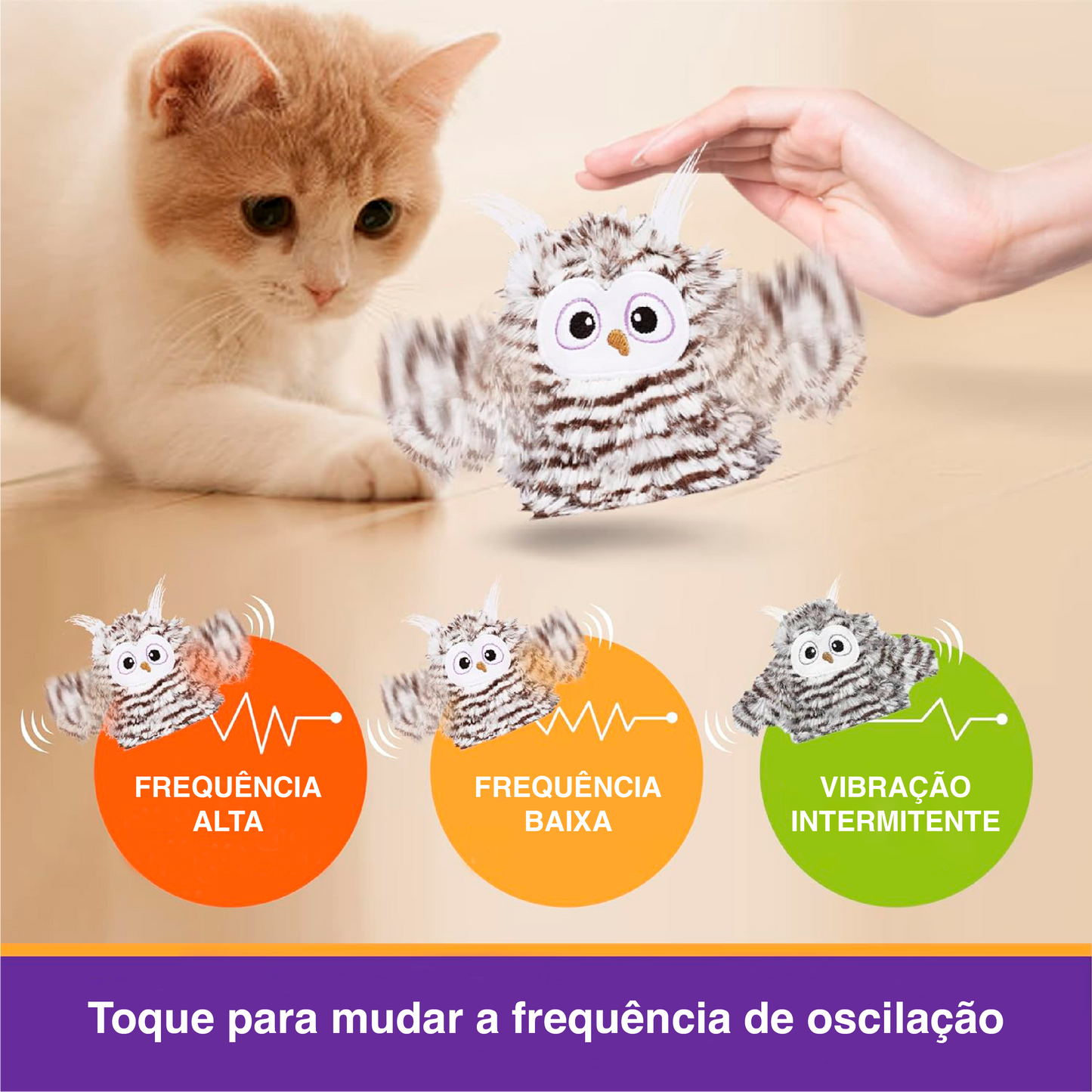 Coruja Brincalhona Agita as Asas - FOFOS