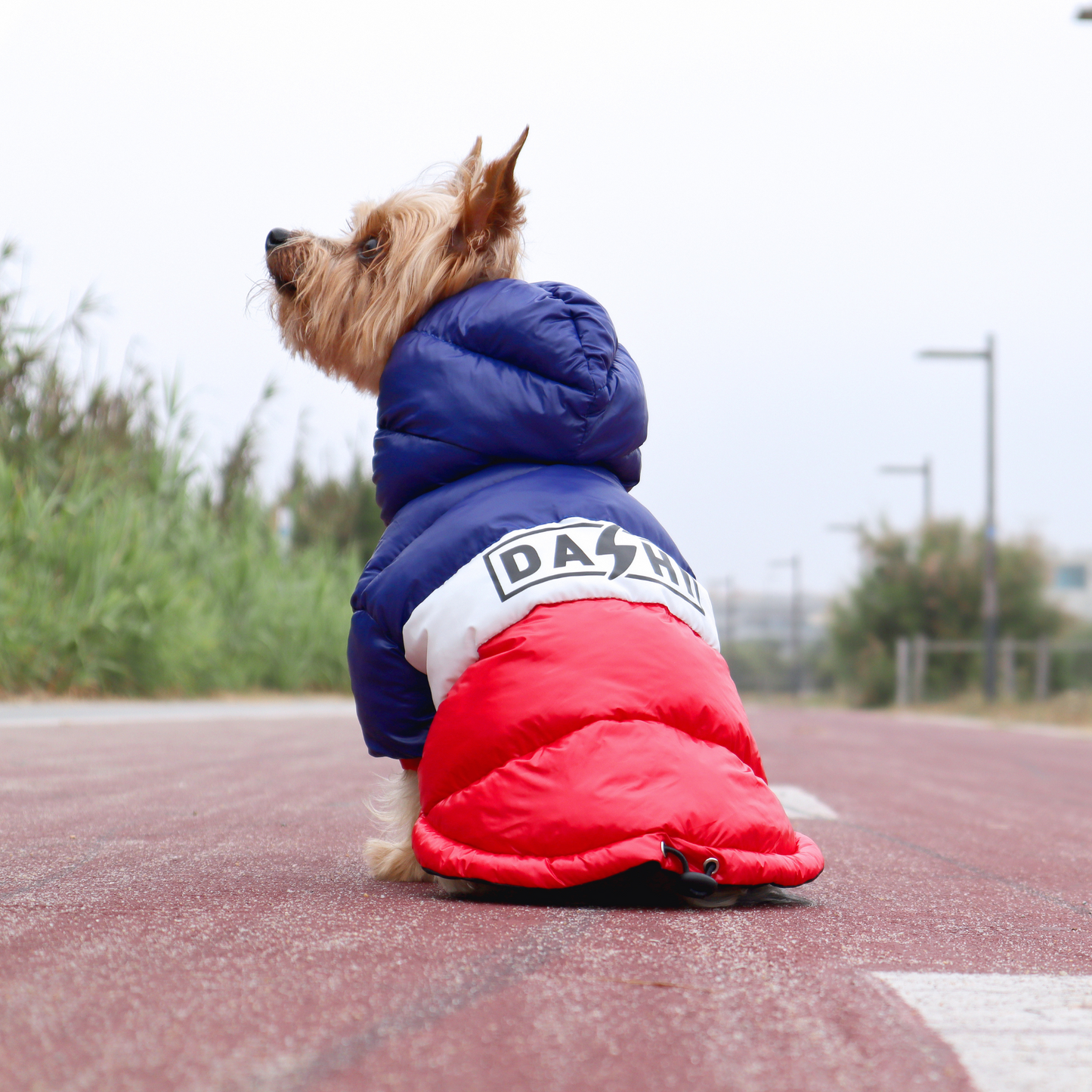Dashi Anorak Stripes - Vermelho e Azul
