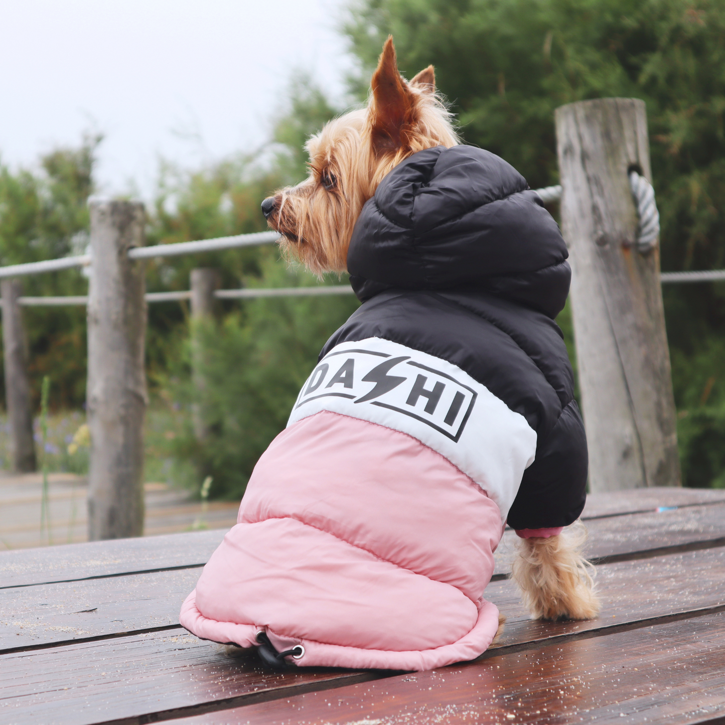 Dashi Anorak Stripes - Rosa e Preto