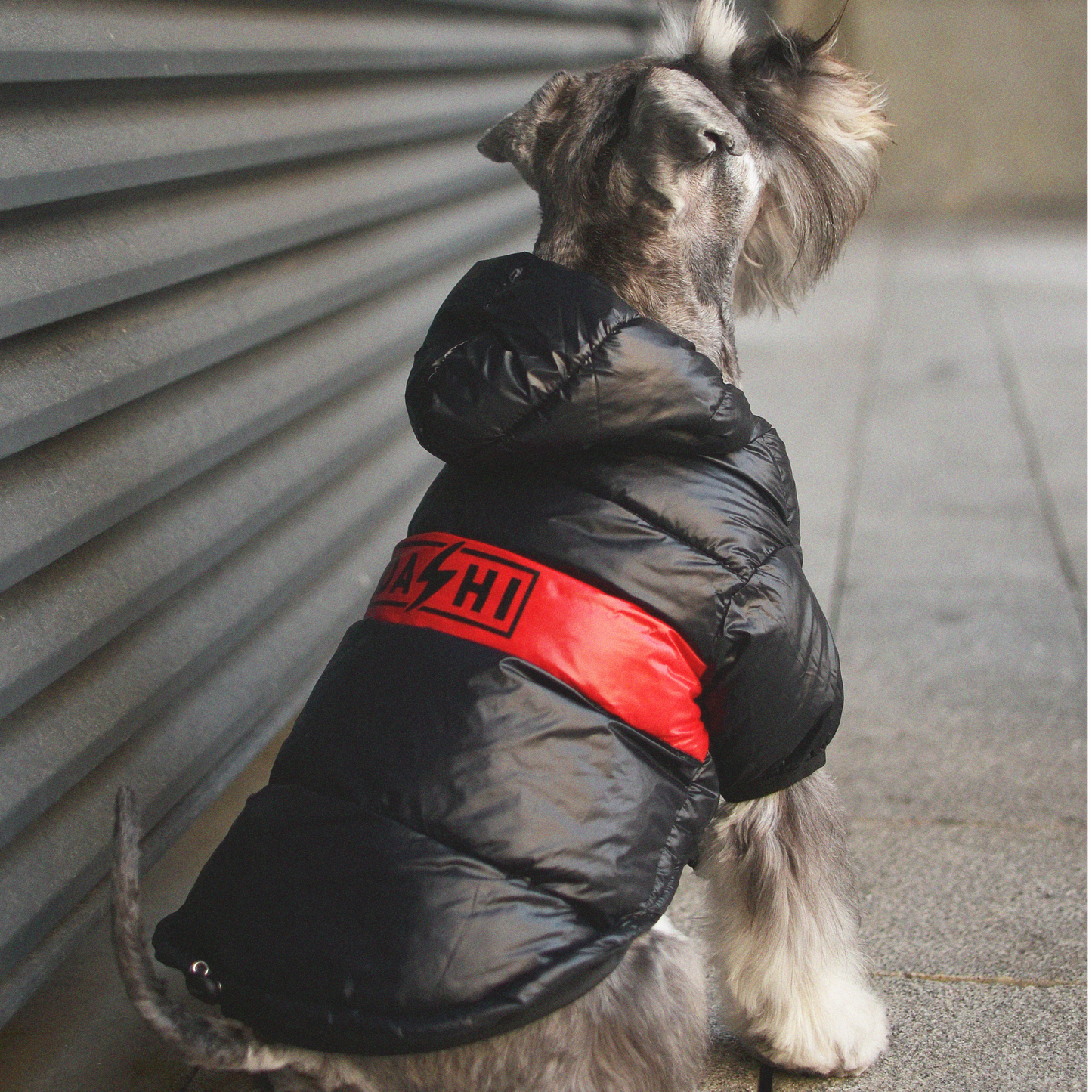 Dashi Anorak Stripes - Vermelho e Preto