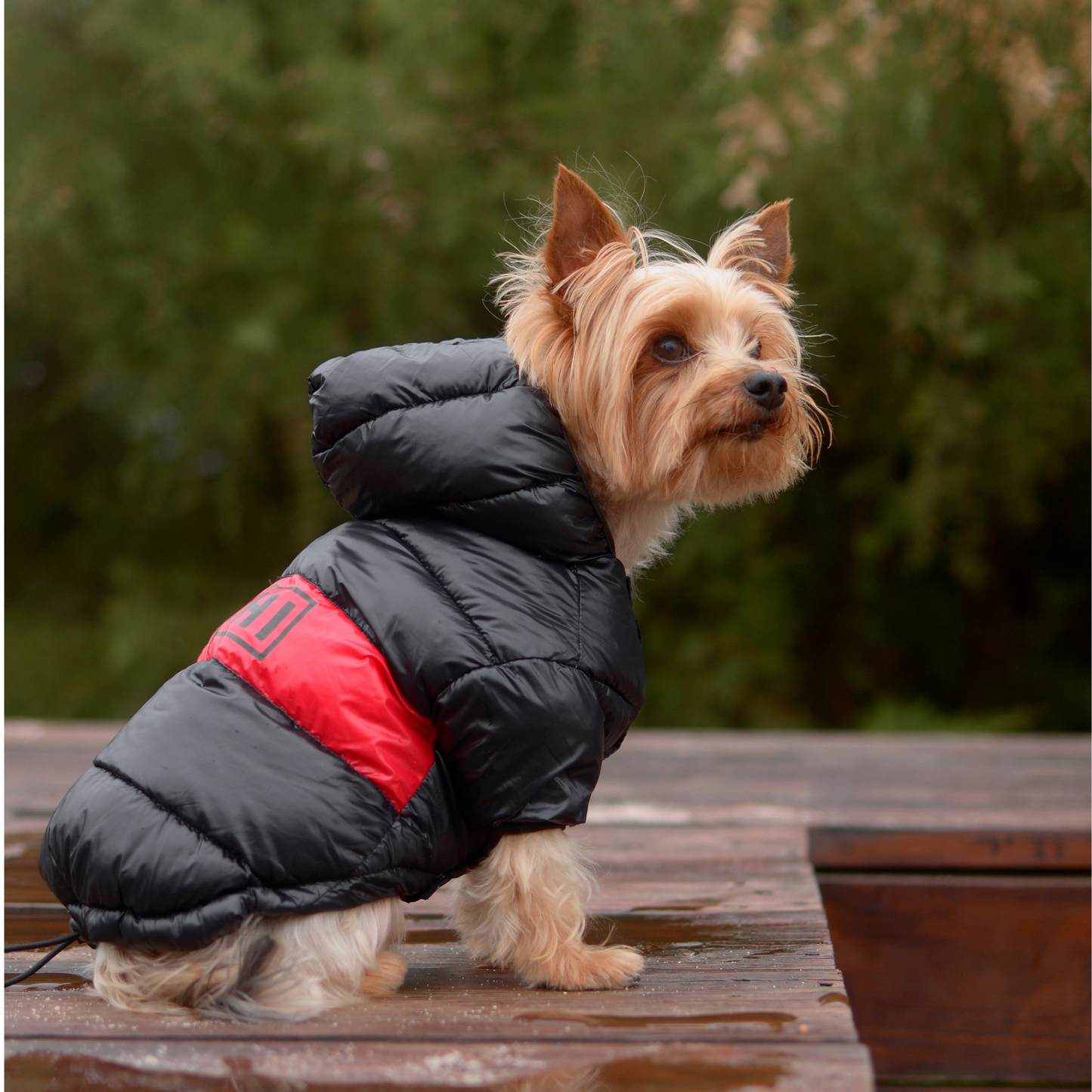 Dashi Anorak Stripes - Vermelho e Preto