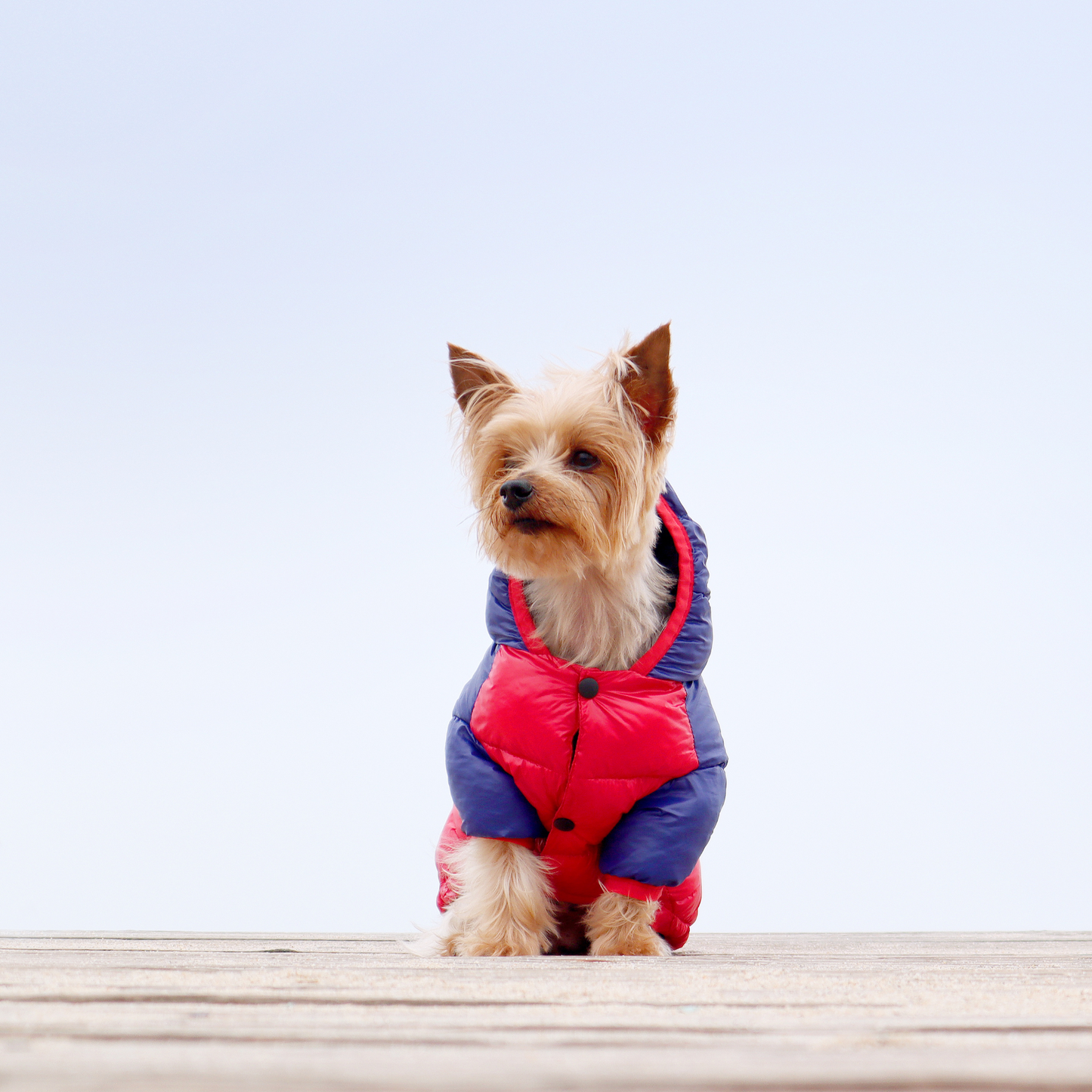 Dashi Anorak Stripes - Vermelho e Azul