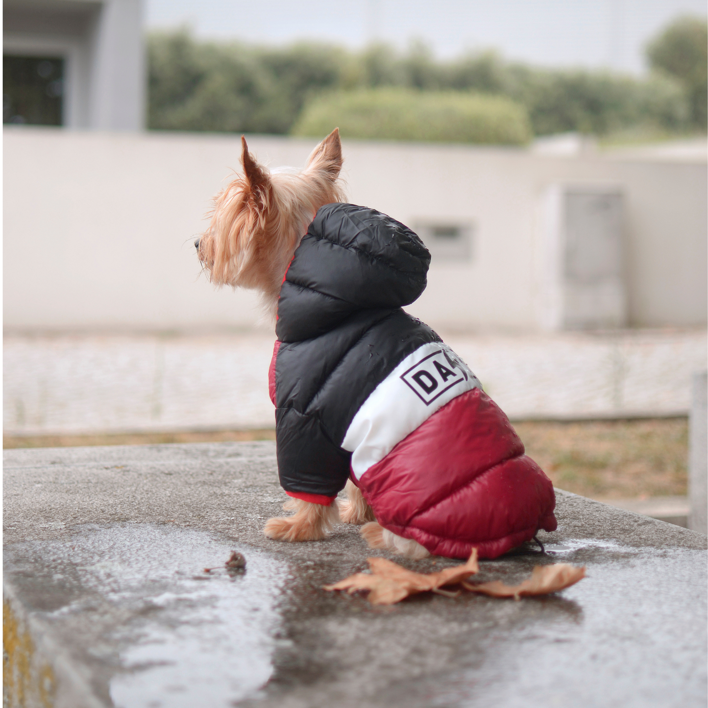 Dashi Anorak Stripes - Roxo e Preto