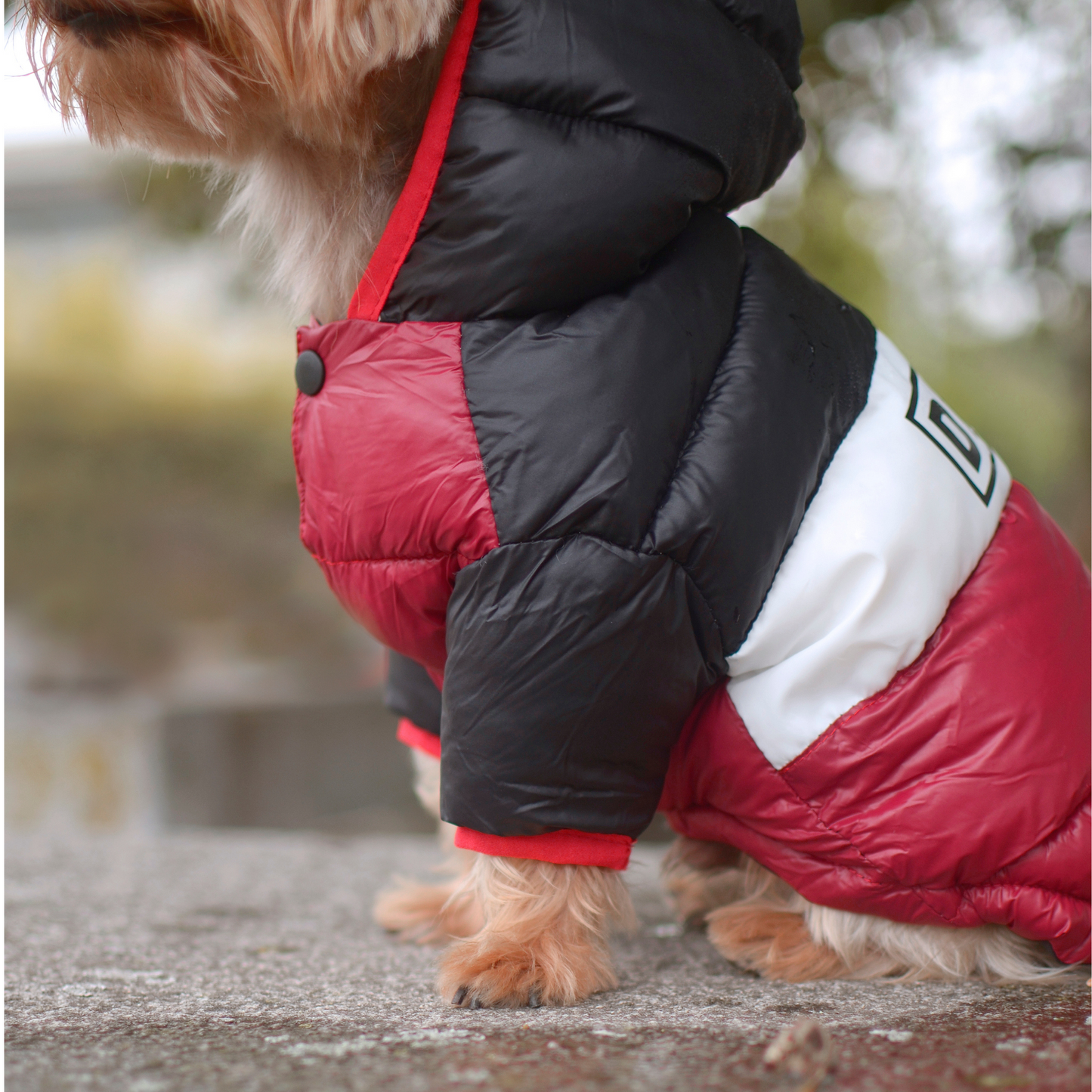 Dashi Anorak Stripes - Roxo e Preto