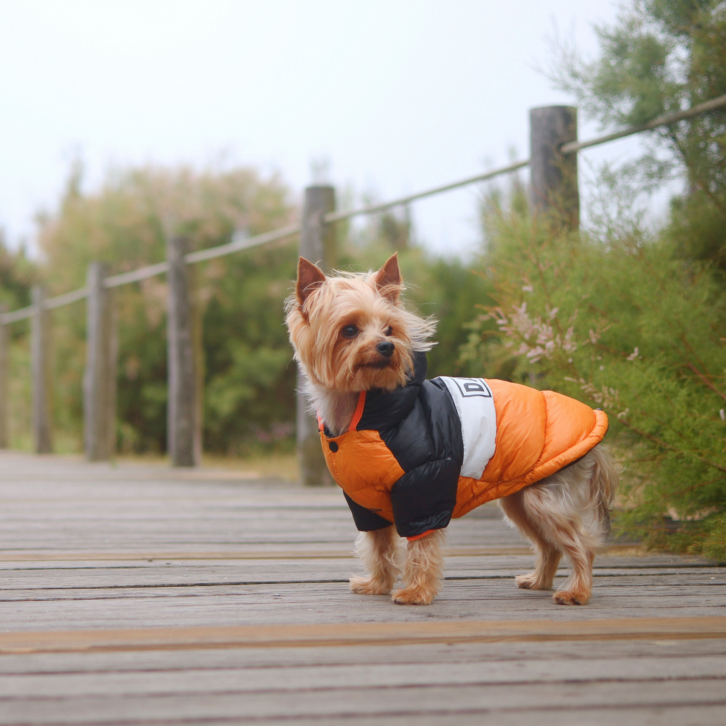 Dashi Anorak Stripes - Laranja e Preto