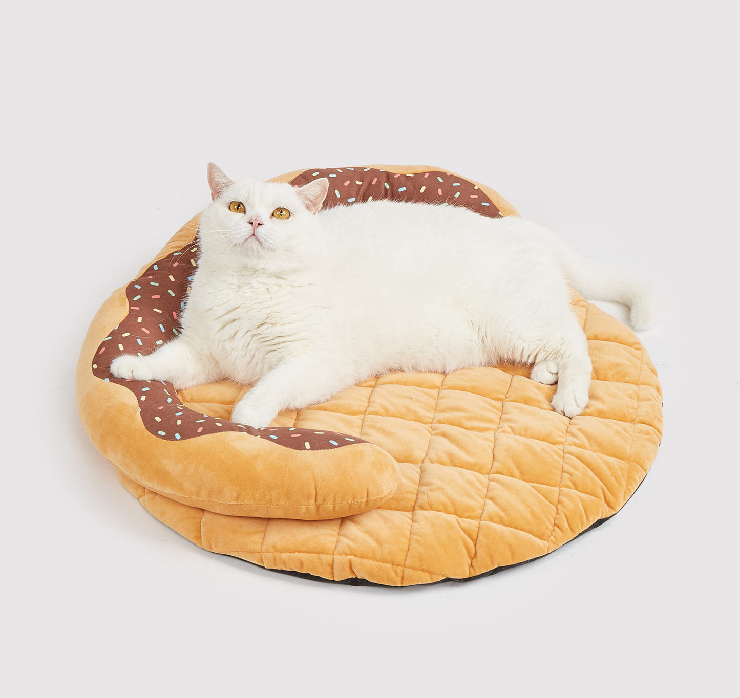 Cama Donut - FOFOS