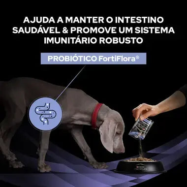 Purina Pro Plan Fortiflora - Probiótico para cães