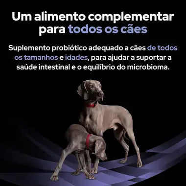 Purina Pro Plan Fortiflora - Probiótico para cães