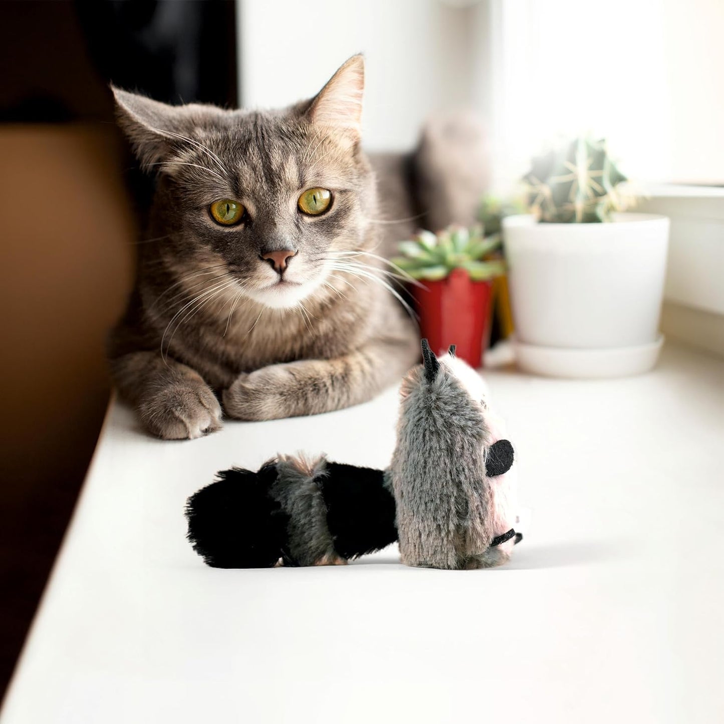 Guaxinim de Peluche com catnip - FOFOS