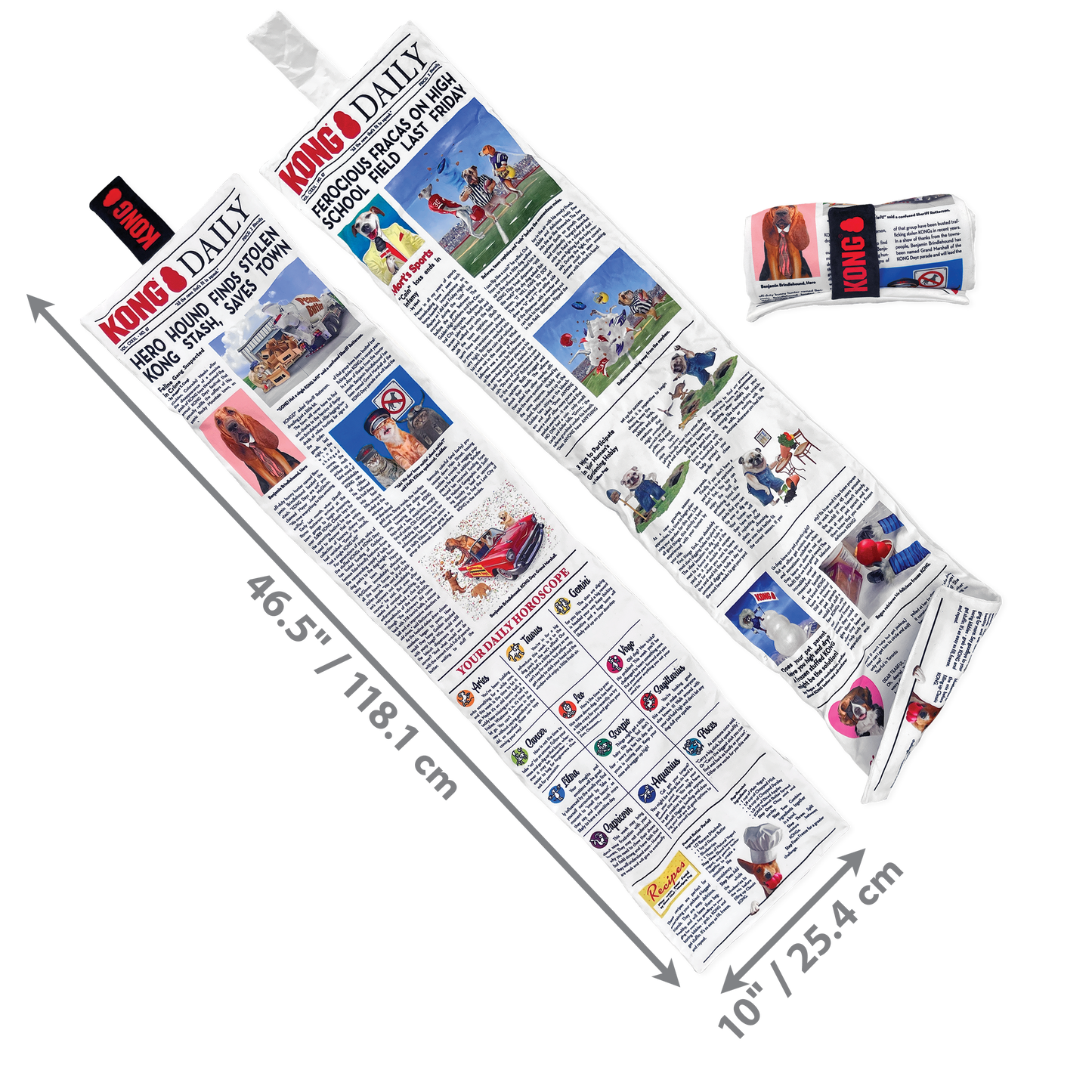 Kong Daily Jornal XL