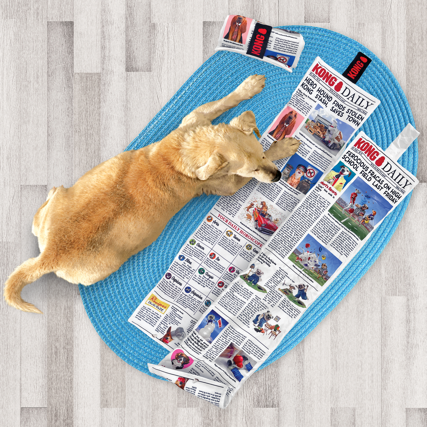 Kong Daily Jornal XL
