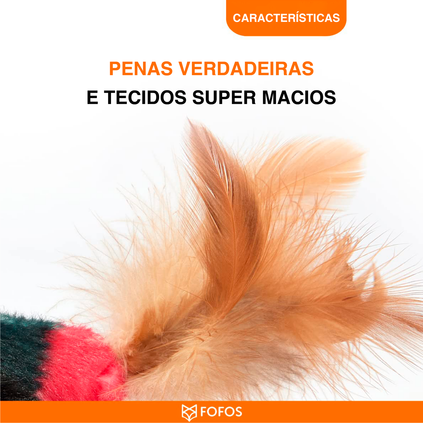 Pássaro Preto com som e catnip - FOFOS