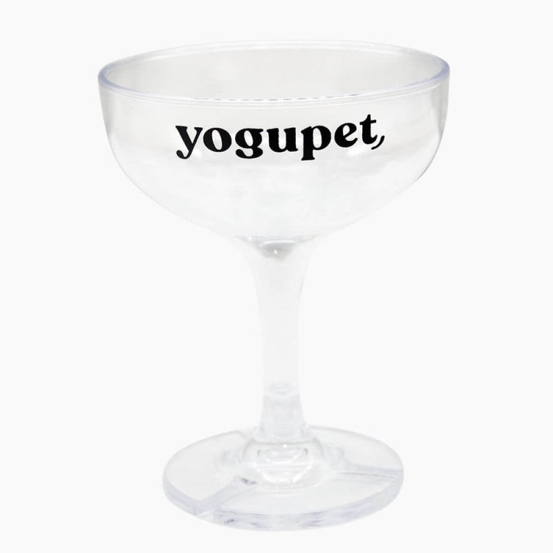 Yogupet Caixa de Natal - Pack Champanhe + Copo + Panetone