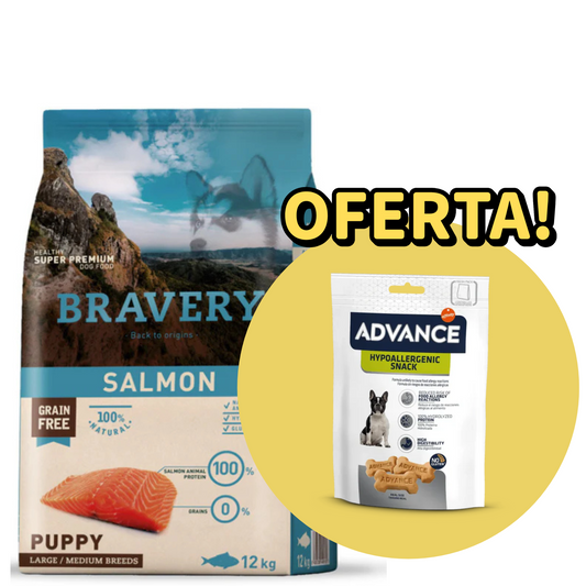 Bravery Cão Puppy Medium/Large - Salmão