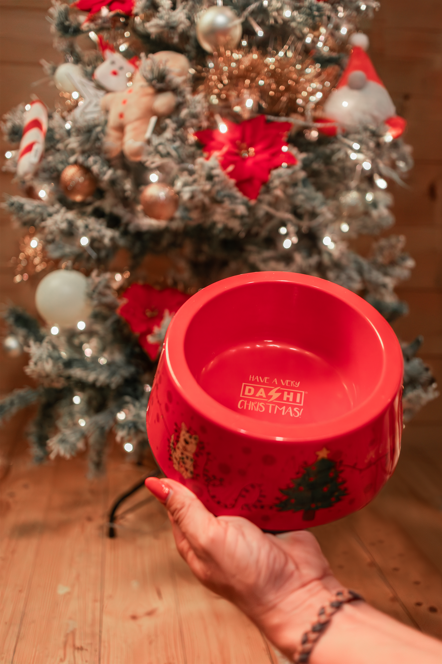 Comedouro Dashi Christmas