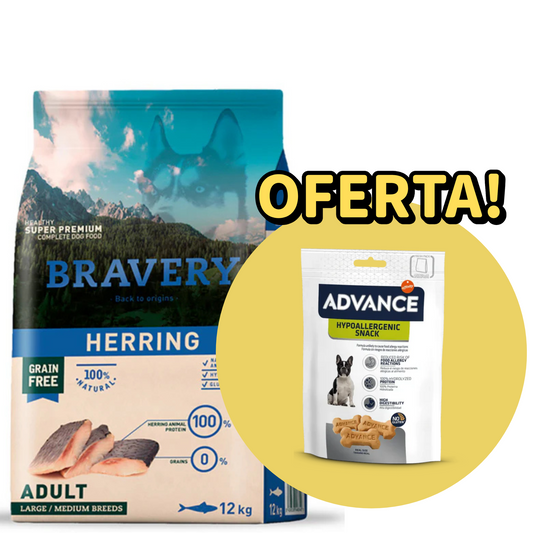 Bravery Cão Medium/Large - Arenque