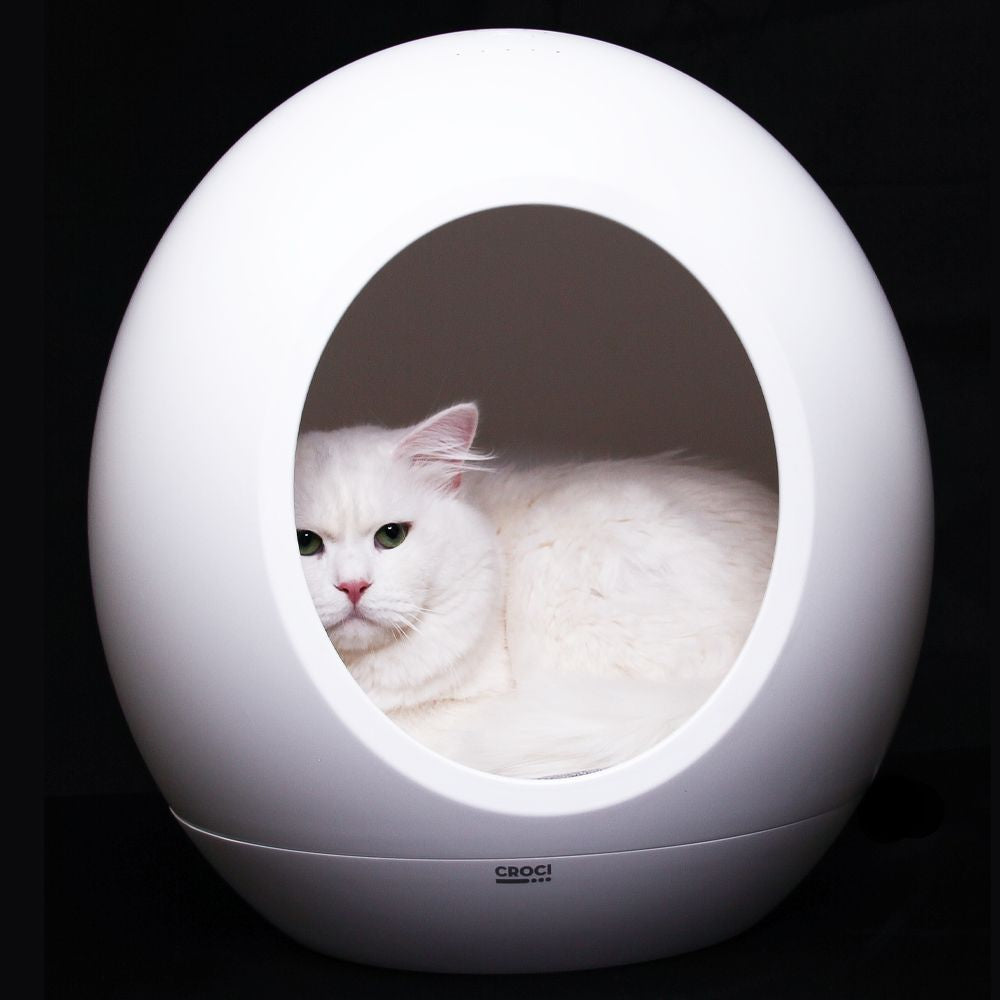 Cama Domus Pet - Croci