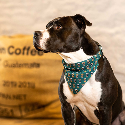 Bandana Max&Molly - Coffee Break