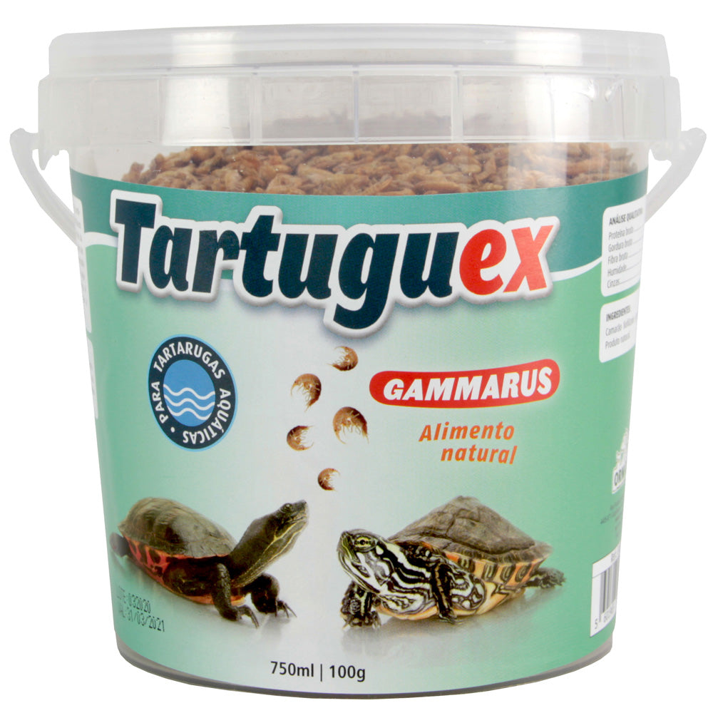 Tartuguex - Gammarus para tartarugas