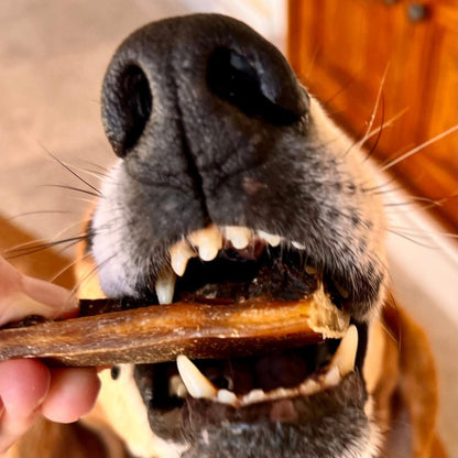 Cooka's Cookies - Esparguete de Porco 60g