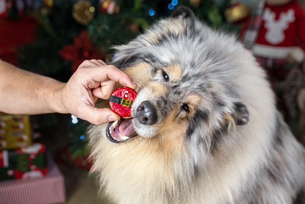 Cooka's Cookies - Caixa de Macarons de Natal 3un