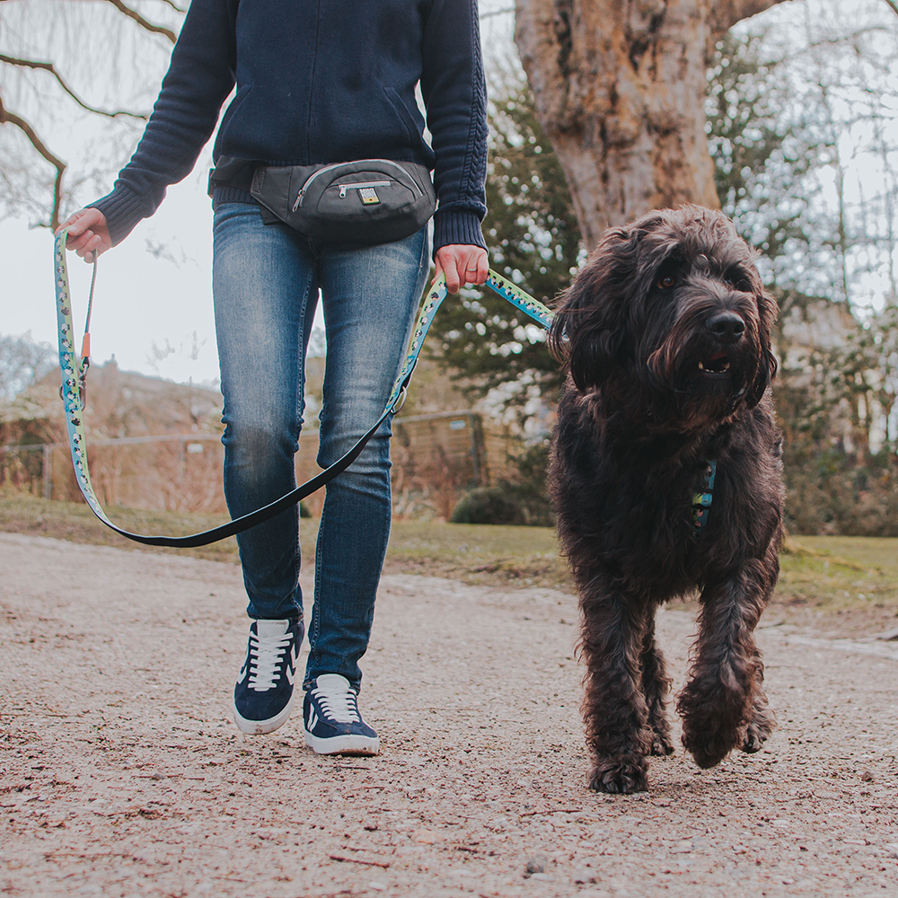 Bolsa de cintura Cinzento - Max&Molly