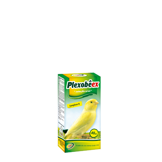 PlexobêEx - Complexo B 40ml