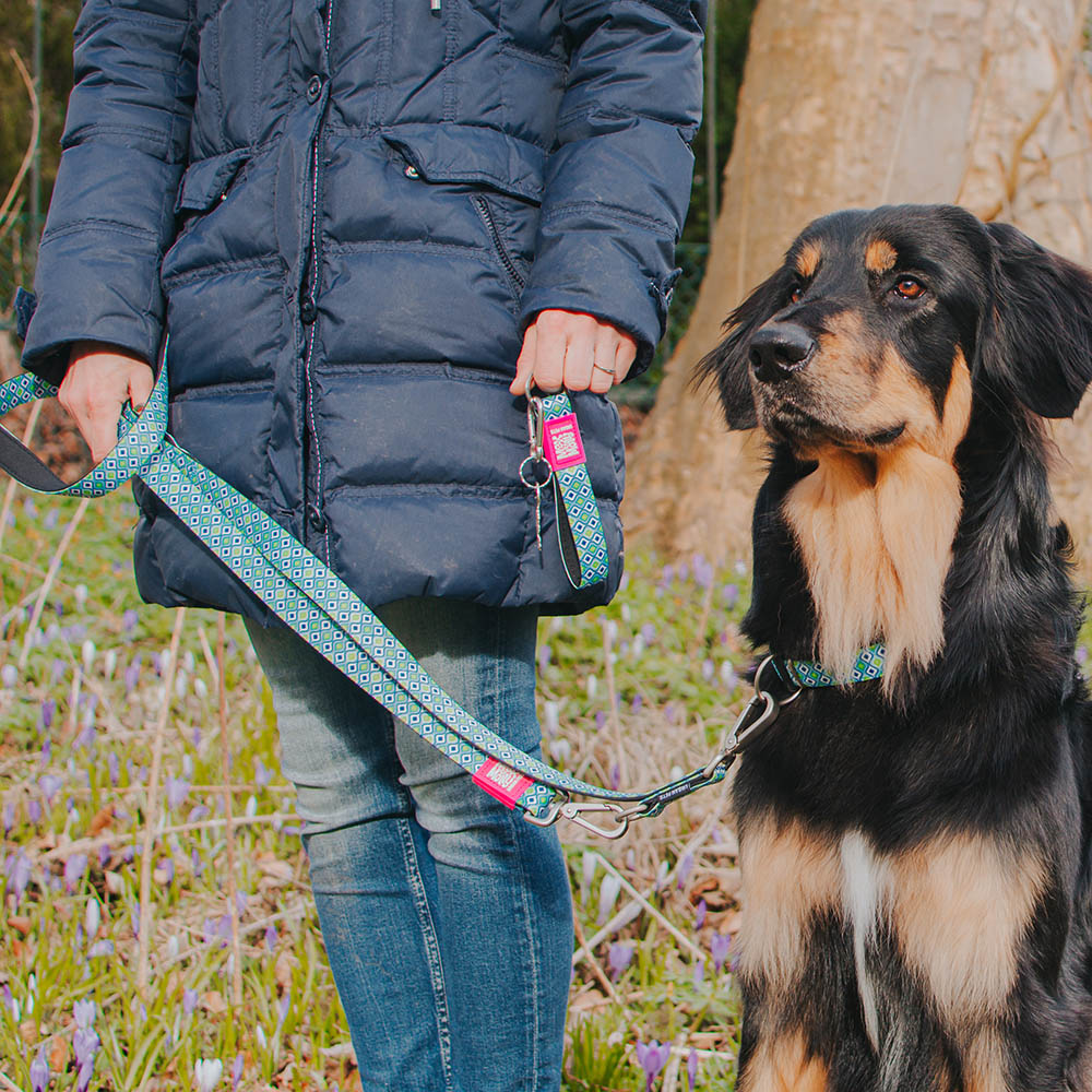 Coleira com ID Tag Max&Molly - Retro Blue