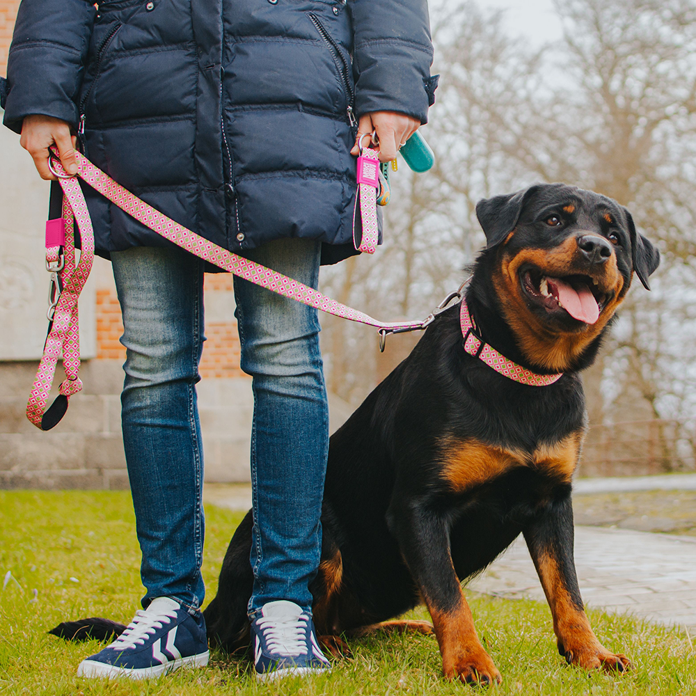 Coleira com ID Tag Max&Molly - Retro Pink