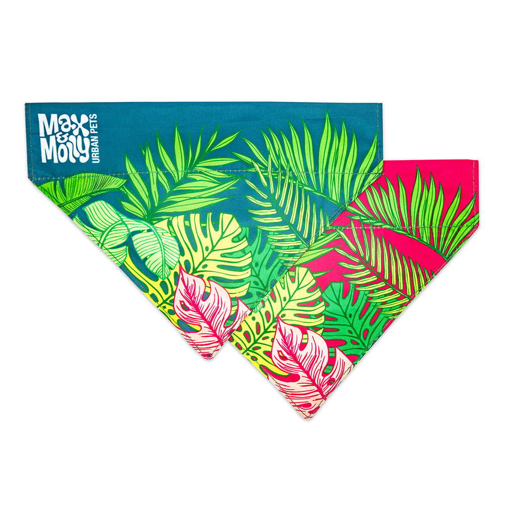 Bandana Max&Molly - Tropical