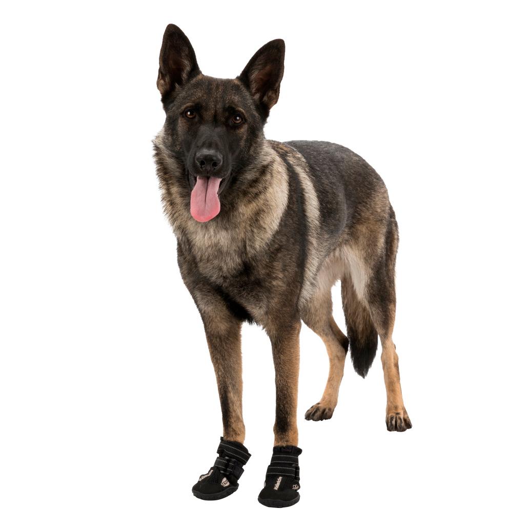 Botas protetoras "Walker Active" para cães - Trixie