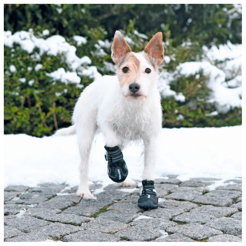 Botas protetoras "Walker Active" para cães - Trixie