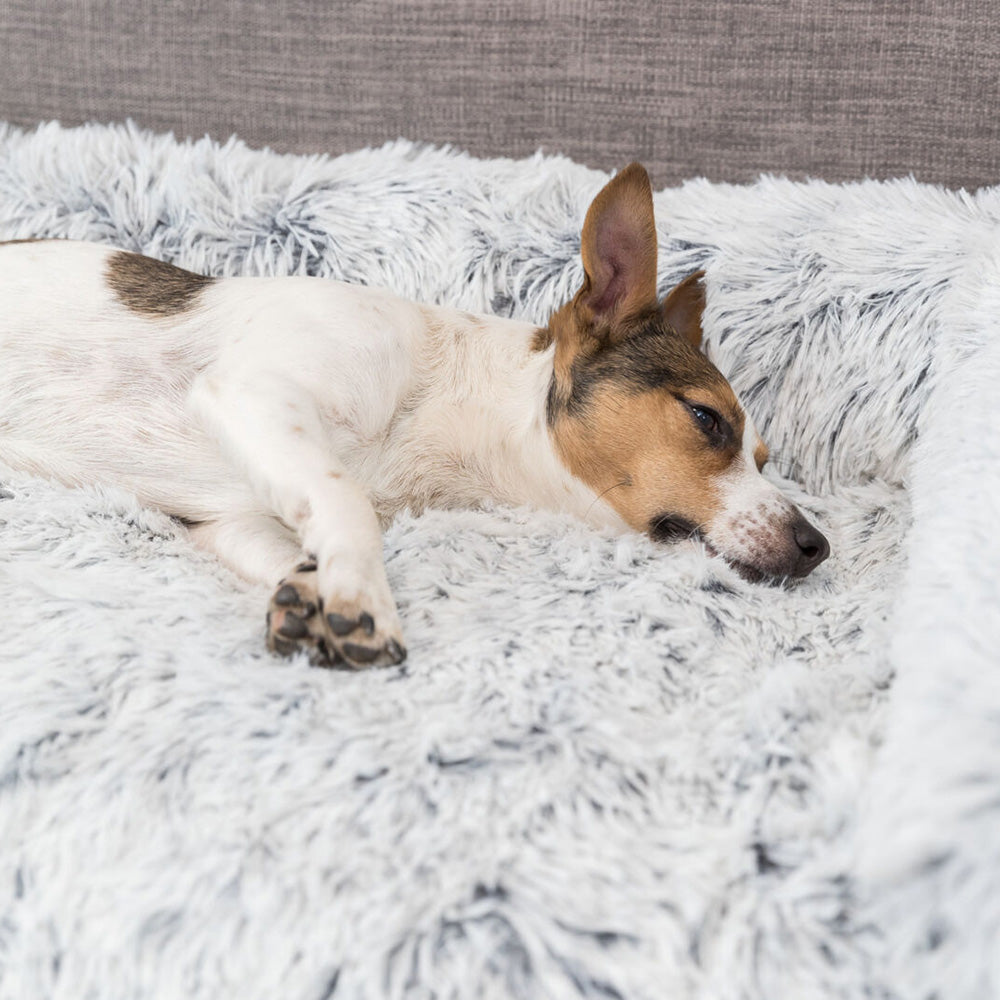 Cama protetora de sofá "Harvey" - Trixie