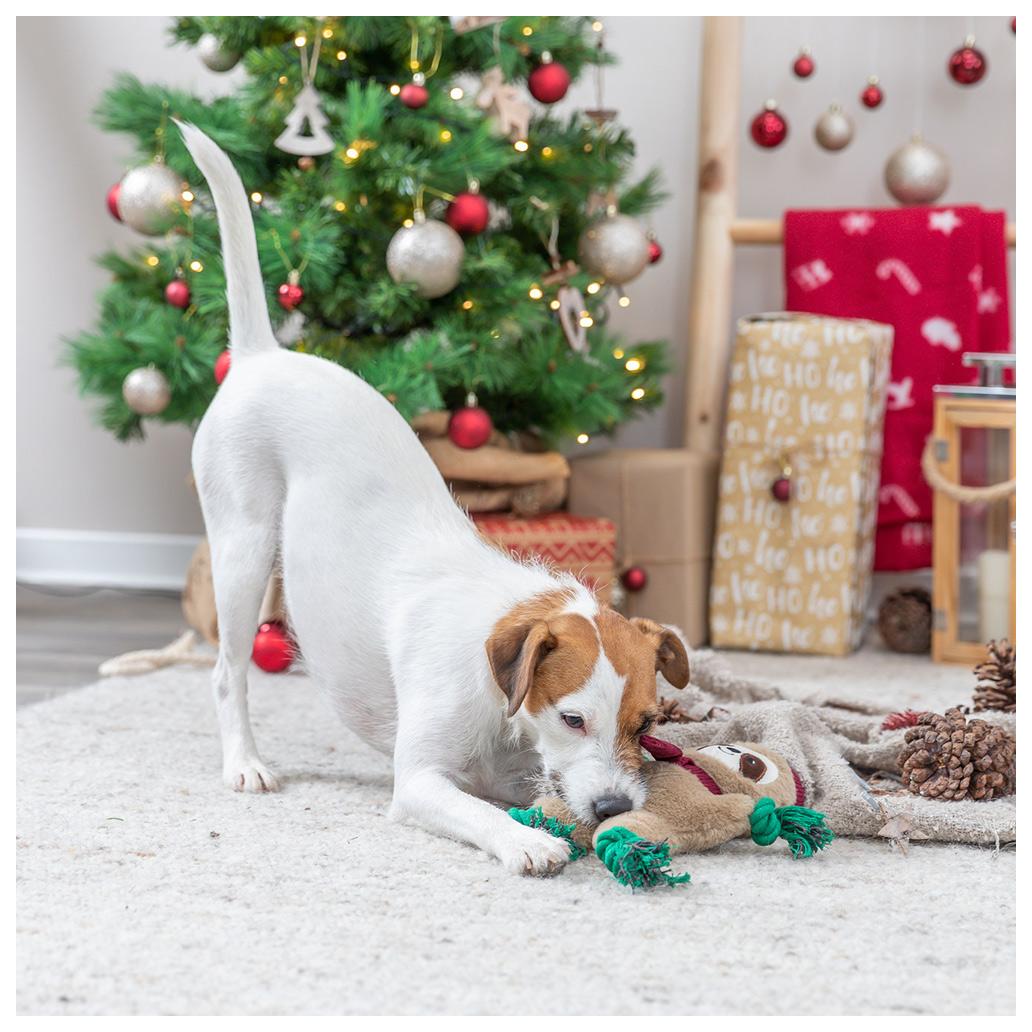 Preguiça de Natal com corda 30cm - Trixie