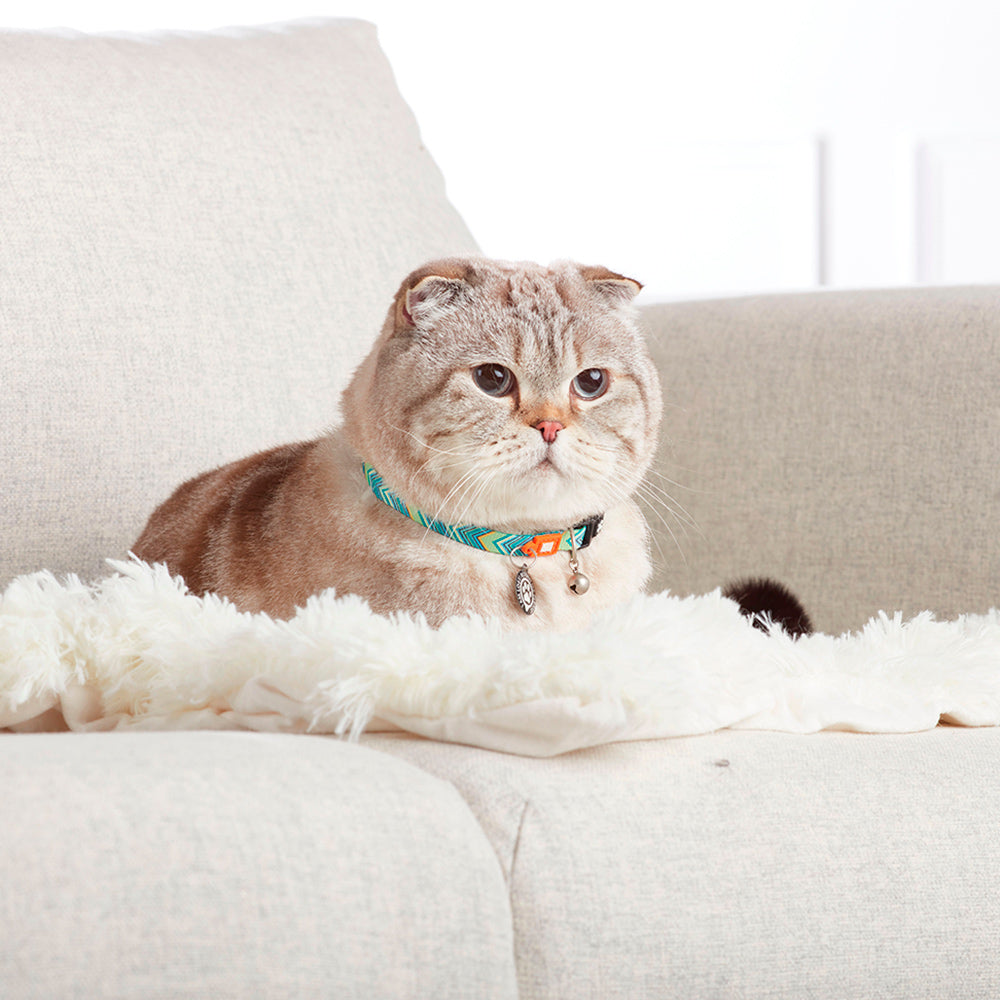 Coleira Gato com ID Tag Max&Molly - Vintage