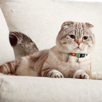 Coleira Gato com ID Tag Max&Molly - Vintage