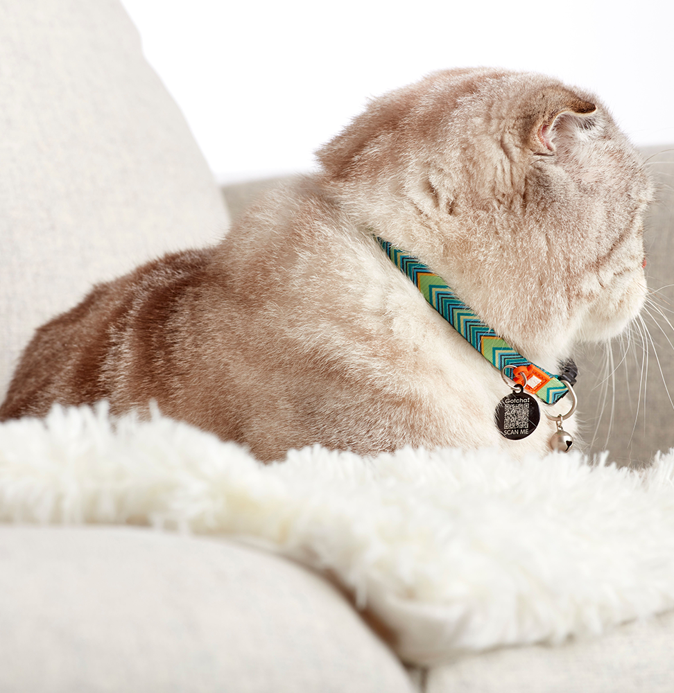 Coleira Gato com ID Tag Max&Molly - Vintage